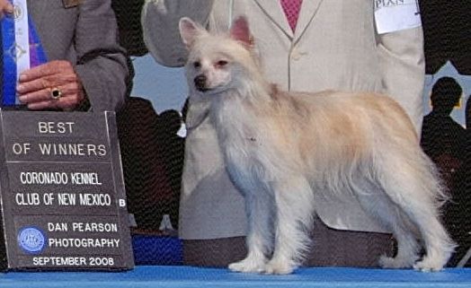 We-B Candas Anazasi Angel