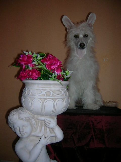 Picture