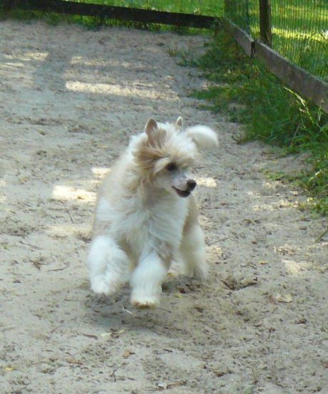 Hacker Top Model De Rama