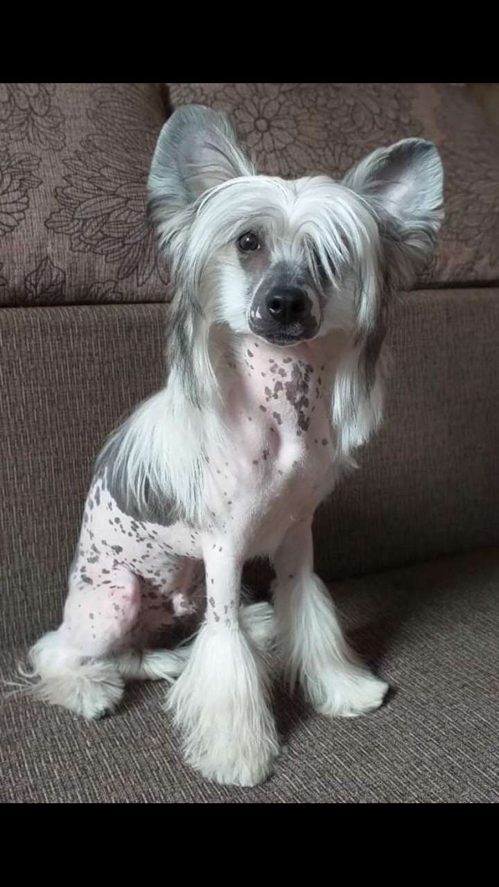 Bernard Natalexx Life