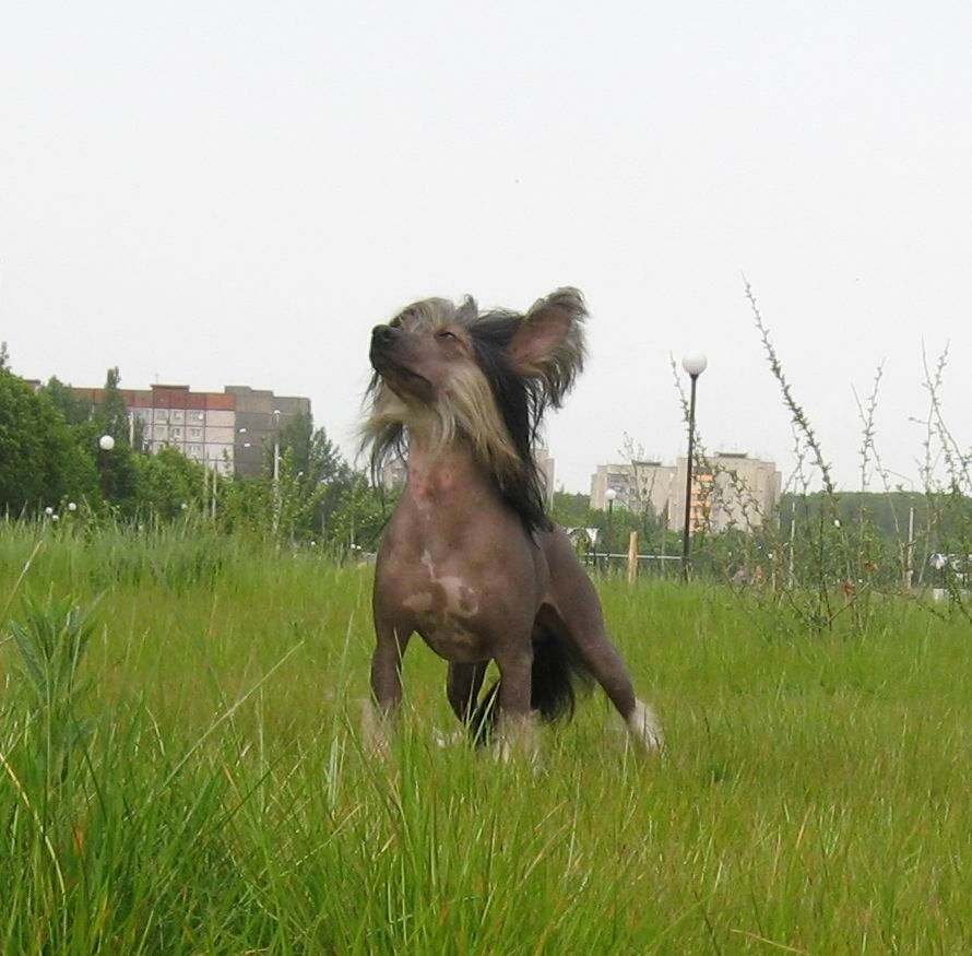 Picture