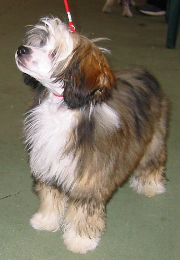 Meken Kiss The Holly