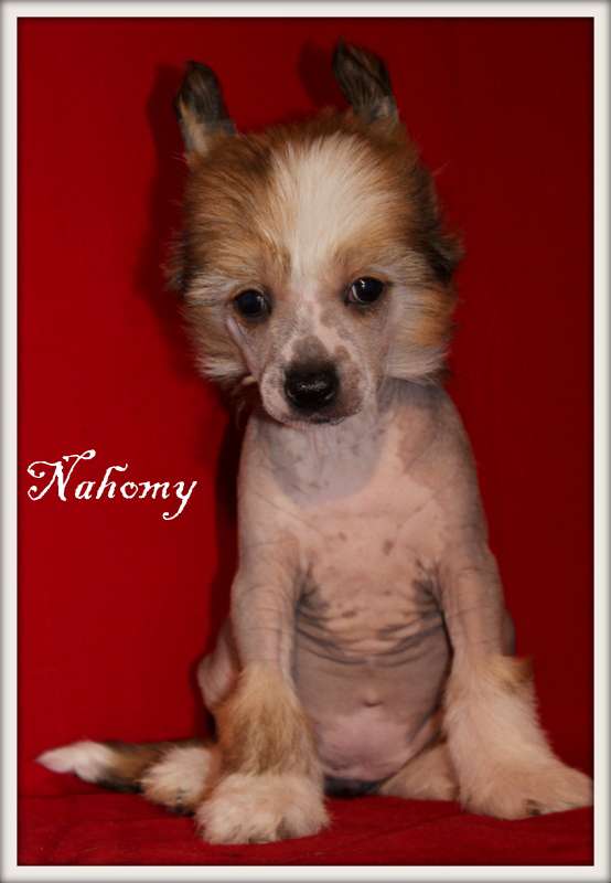 naomy du pavé de varennes