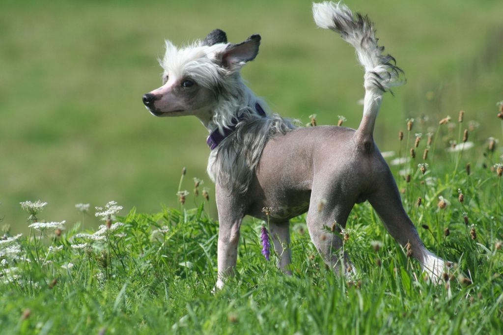 Dresscode-Zero Judge N Jury 