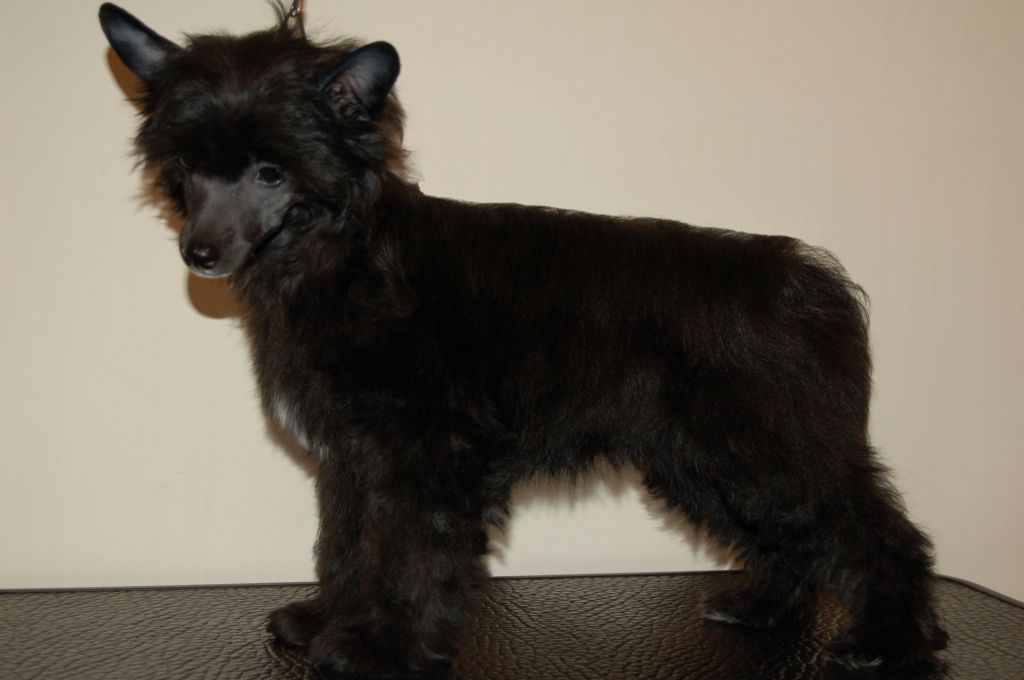 Moonangels Be with me