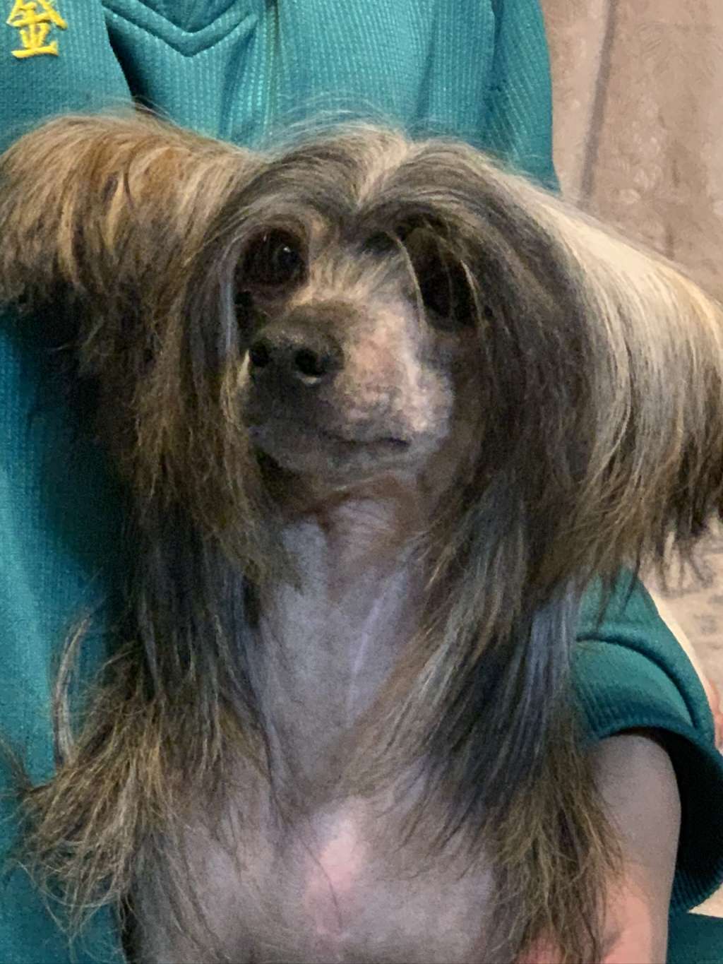 Eternity Sirius Jp Anne Wolf