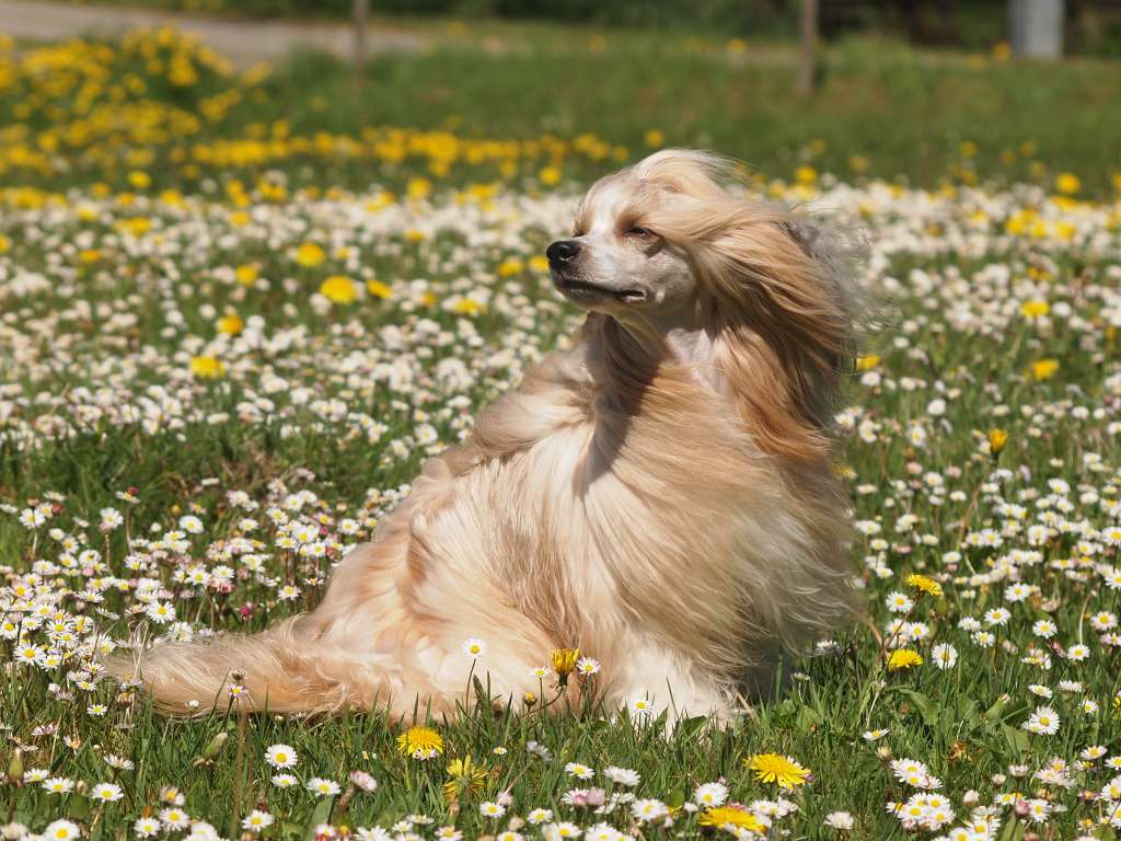 Lionheart Keep This Feeling