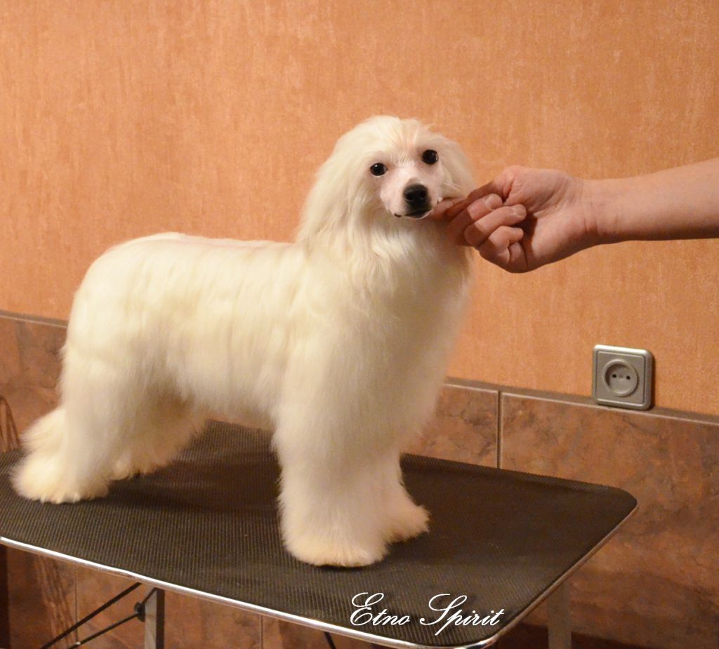 Etno Spirit Veronika