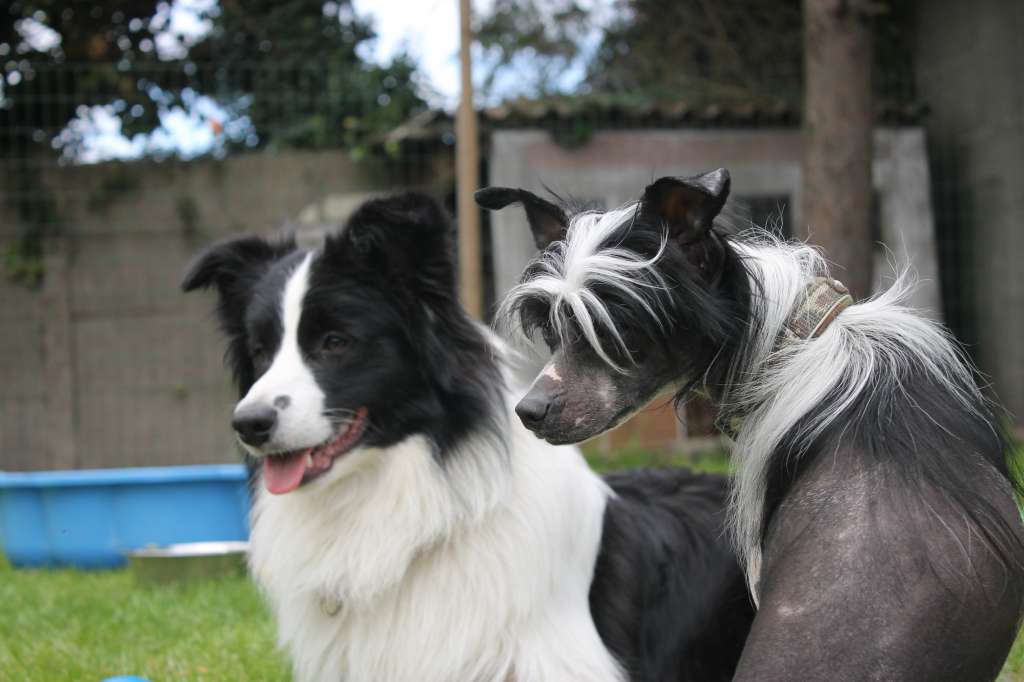 One Of A Kind Little charmings