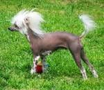 rolling acres back to parris