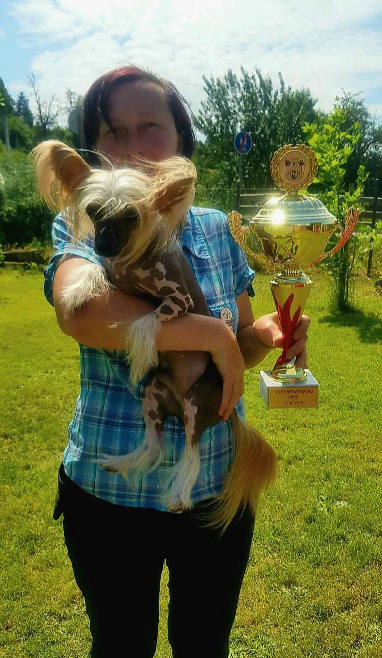 Alphie Jedeansa Viane