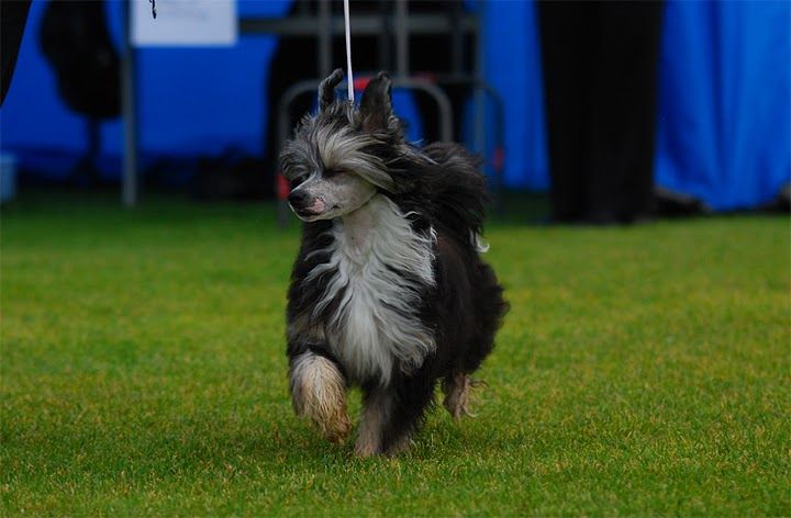 Tuuskannuusan Ride The Lightning