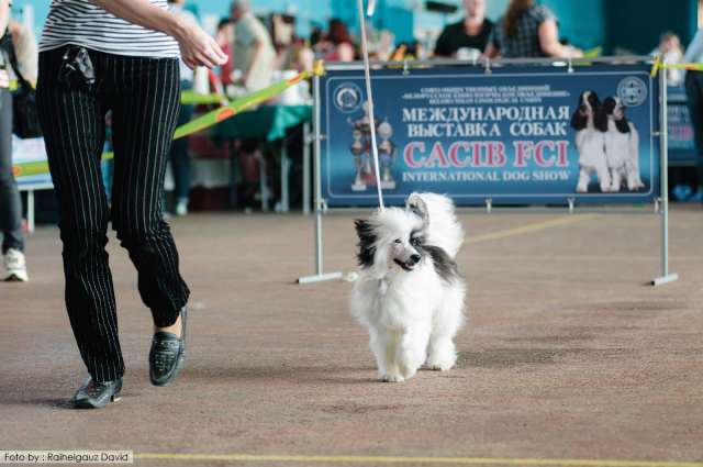 Montana iz Sozvezdiya Khana