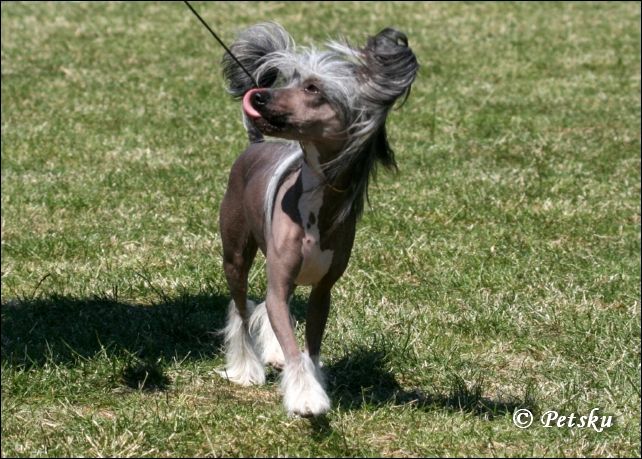 Zhannel's One Sexy Bitch