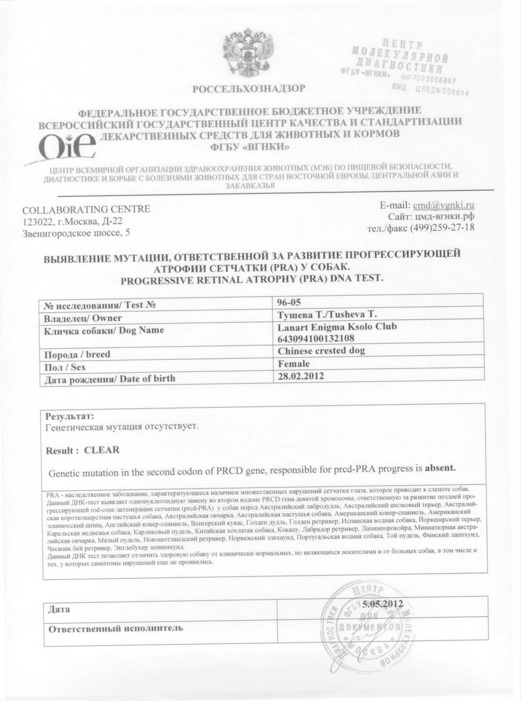 Lanart Enigma iz Ksolo Club