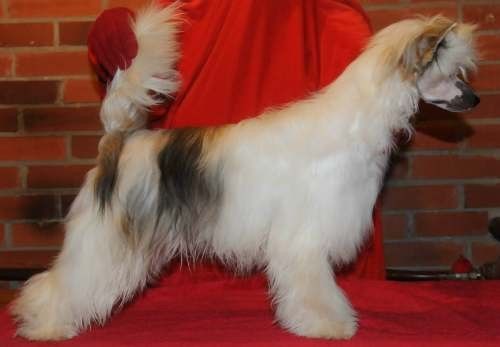 Sasquehanna (FCI) Delora