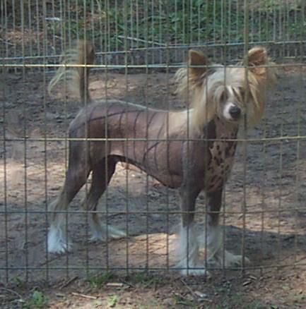 Spiritual Cherry Coke