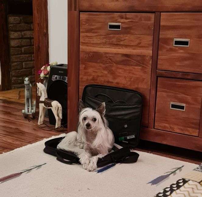 Fundoklia-völgyi Kaszanics Dianara