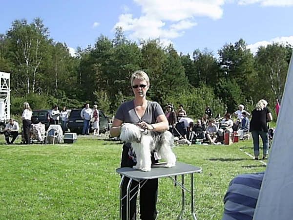 Picture