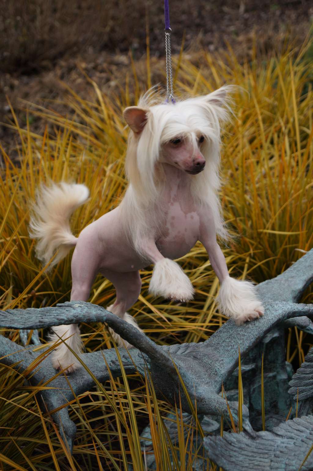 Talltales Summer Loving