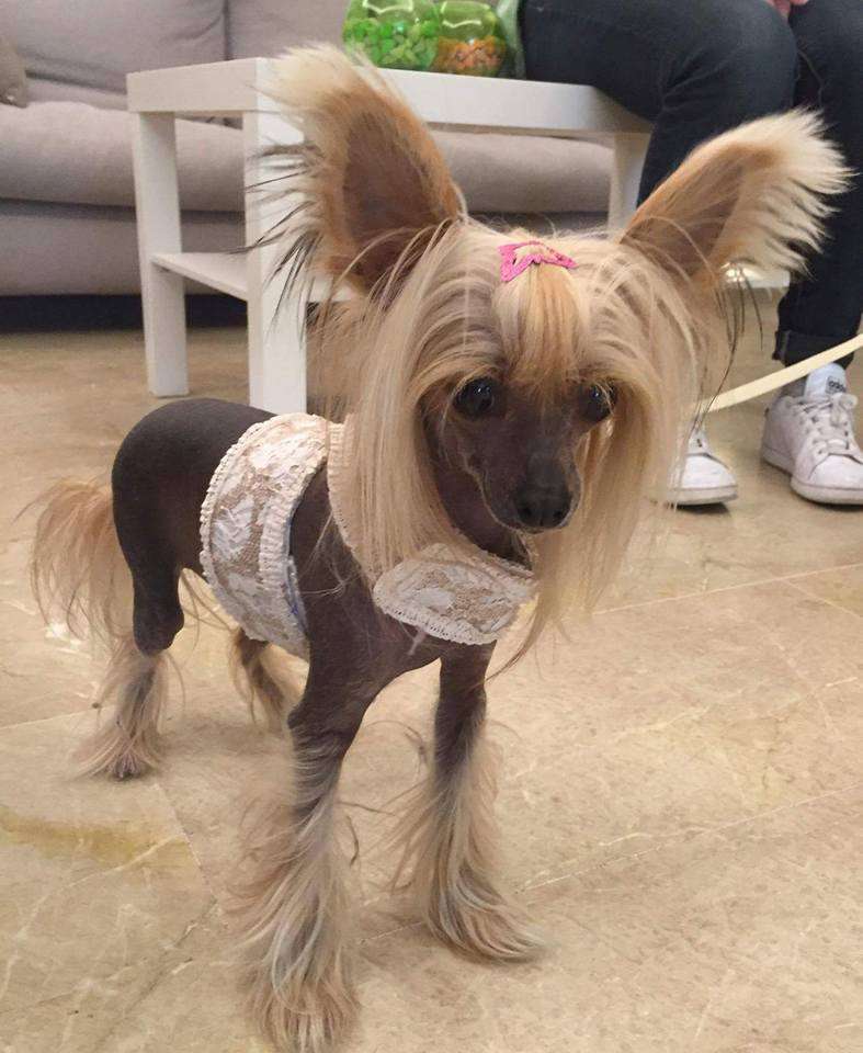 Giorgina Vittoria dell Amore