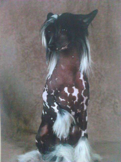 Ilton des Picholines