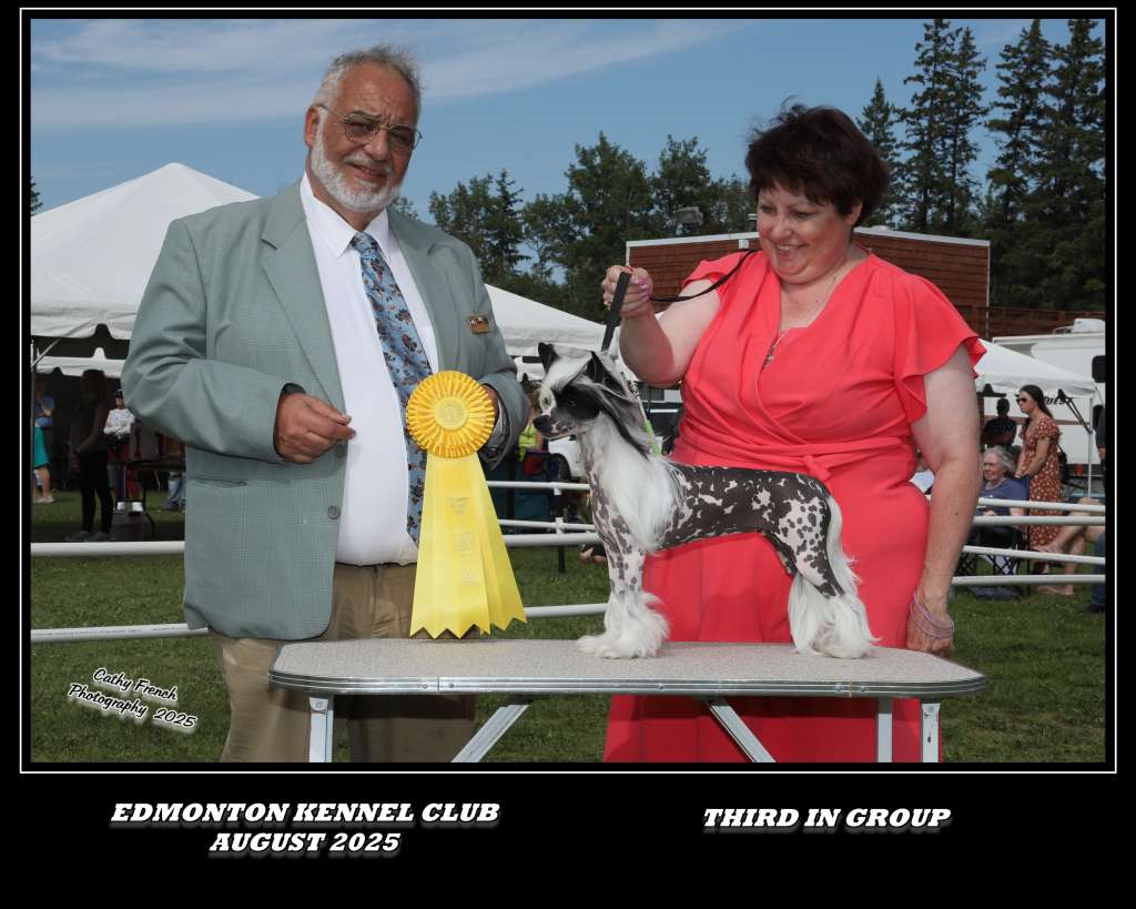 Halostar N Shantel's He Said She Said