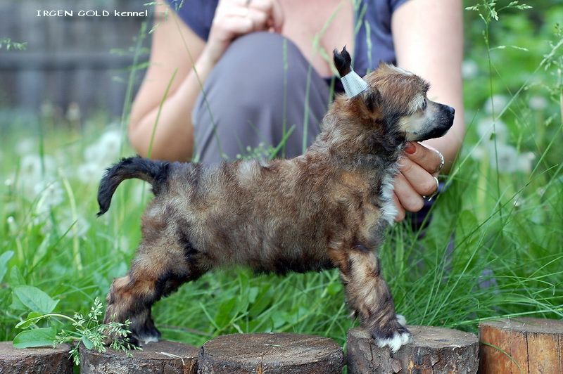 Irgen Gold Donatella Versace