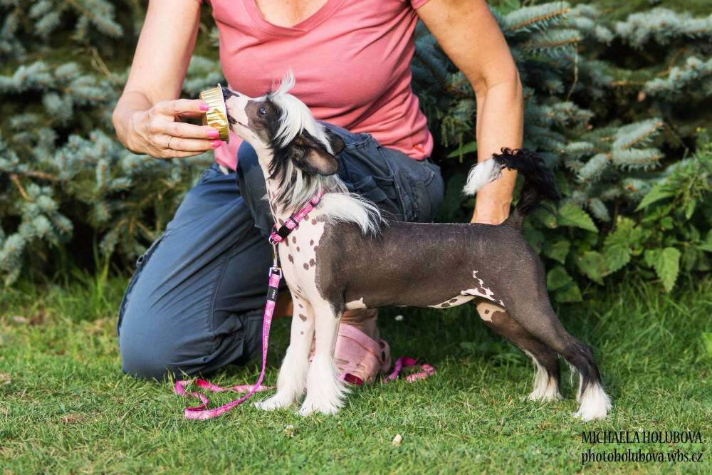 Flopsy Lady Finna Z Valdorfskych lesu