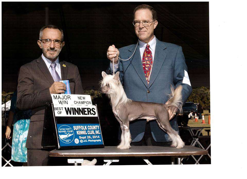 Gingery's My Knight In Shining Armour