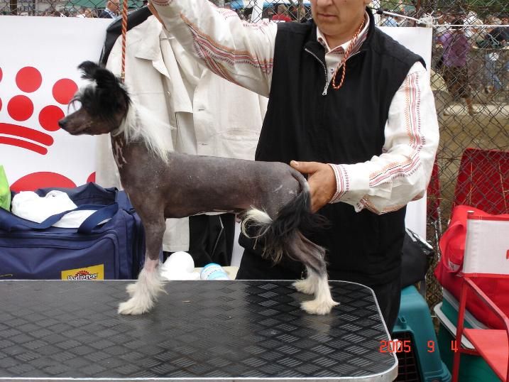 Razzmatazz Beautiful Stranger