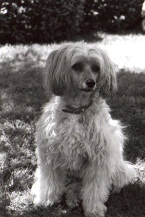 Przemek's Mr Mojo Risin