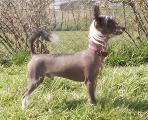 Back to the Basics N'Co