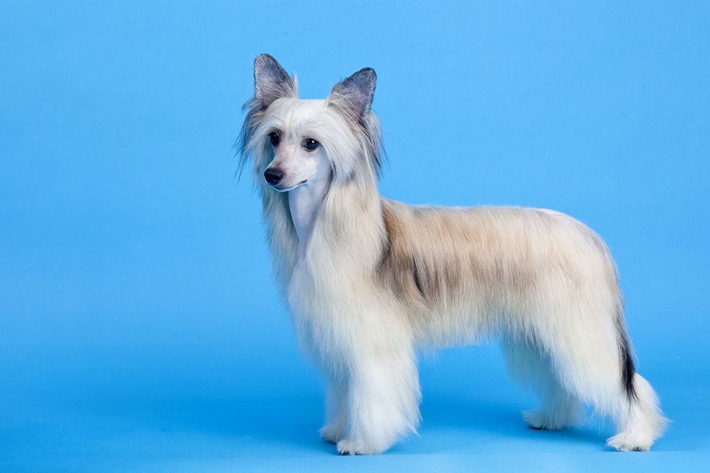 Touch Beauty Image Attract Attention