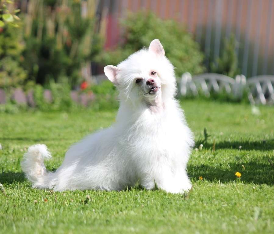 Yahara Omaha Dlya Liris