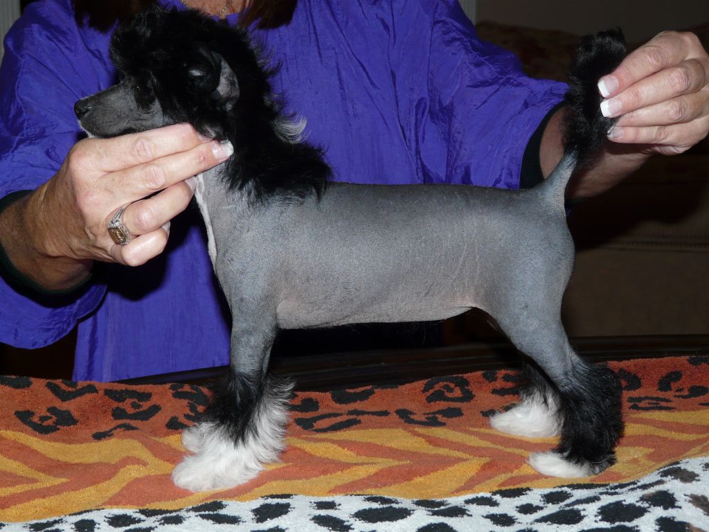 Creekside's Dark & Lovely