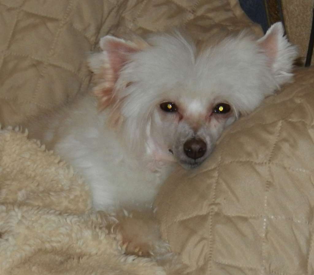 Careless Whispers At Oolagha