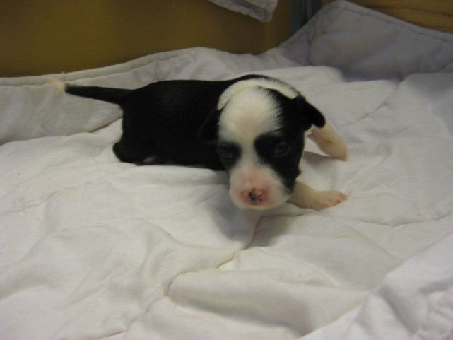 Big Jokes I Want To Break Free