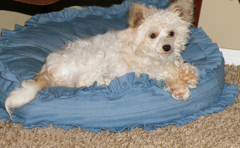 Outlaw's In The Heartland