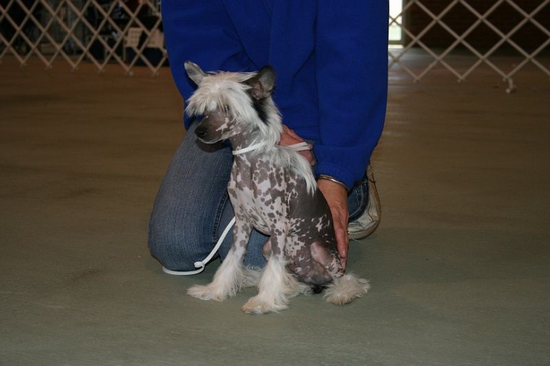 Mohawk The One And Only