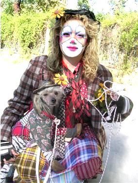 Holliwould Nickelodien