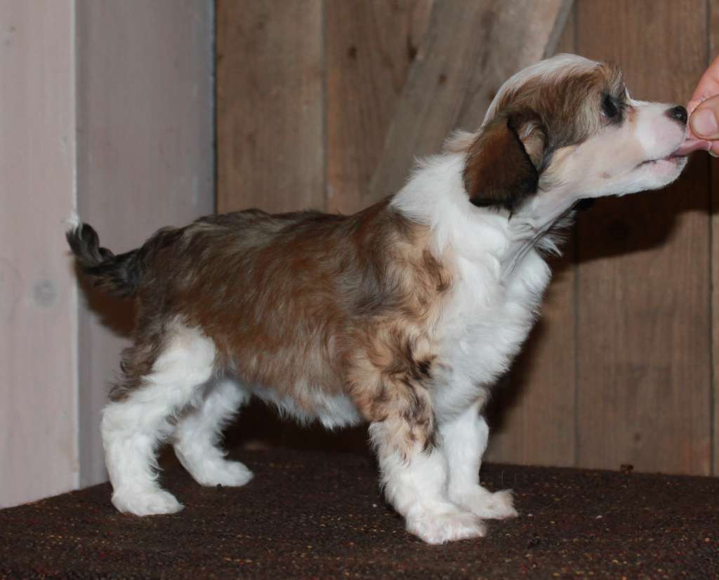 Chattanooga's Viivy Vielä Hetki