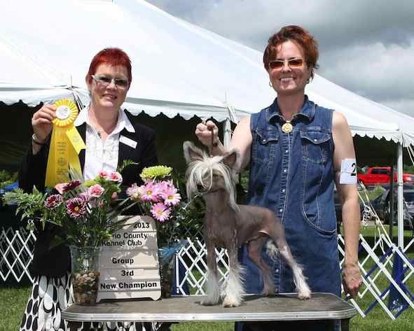 Windwater Legend of Zelda