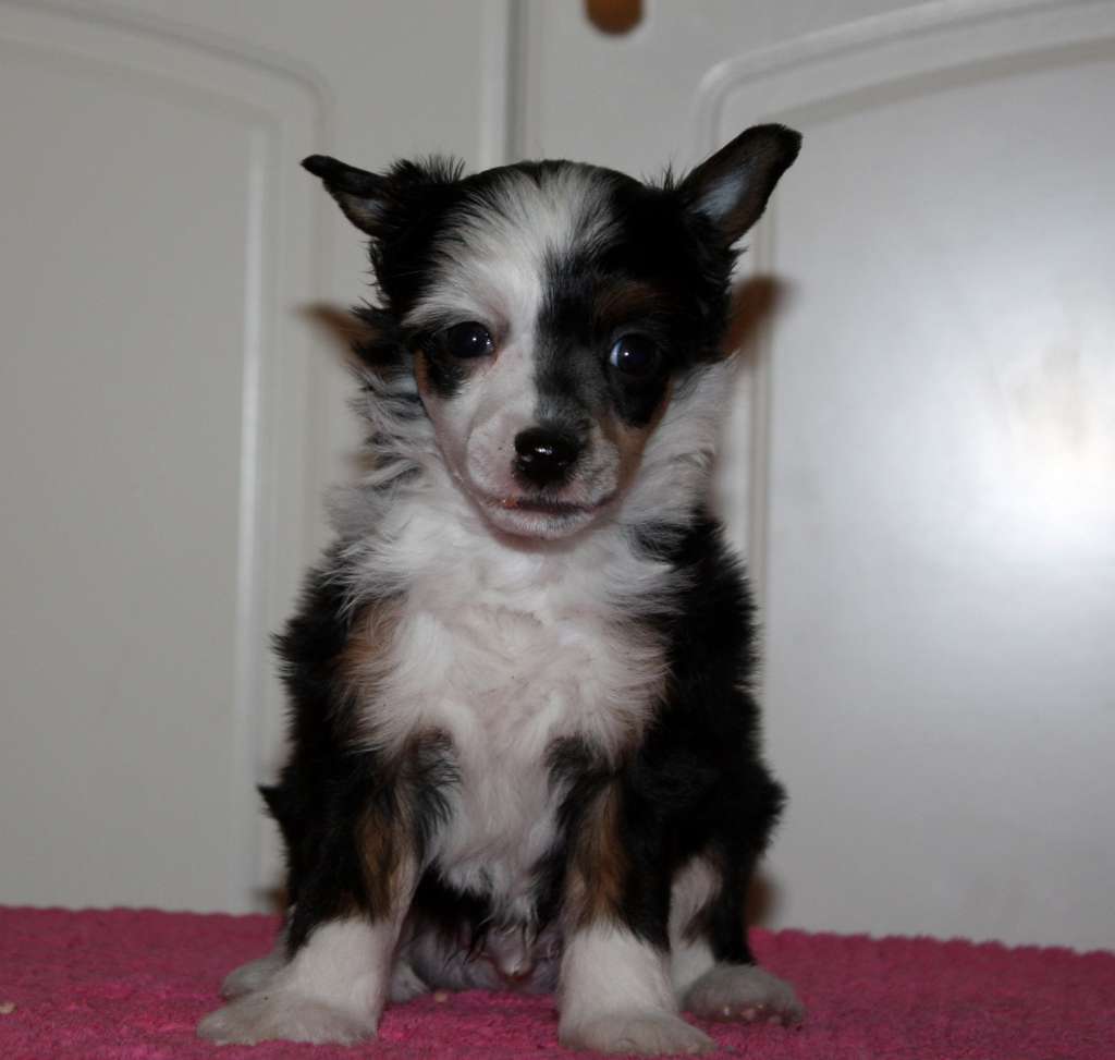 Viuvaun Love To Bits