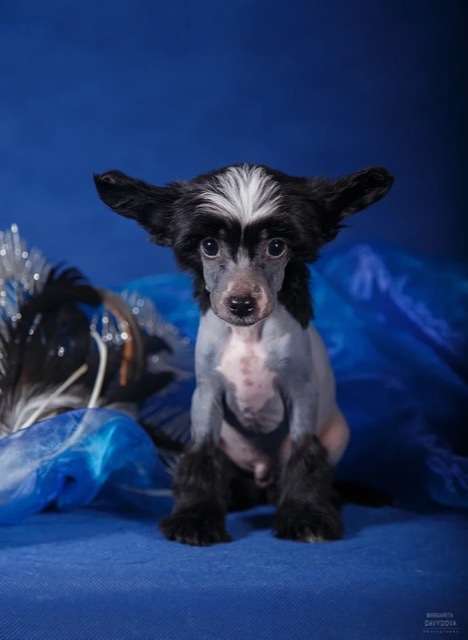 Fiery Fame Yes To All