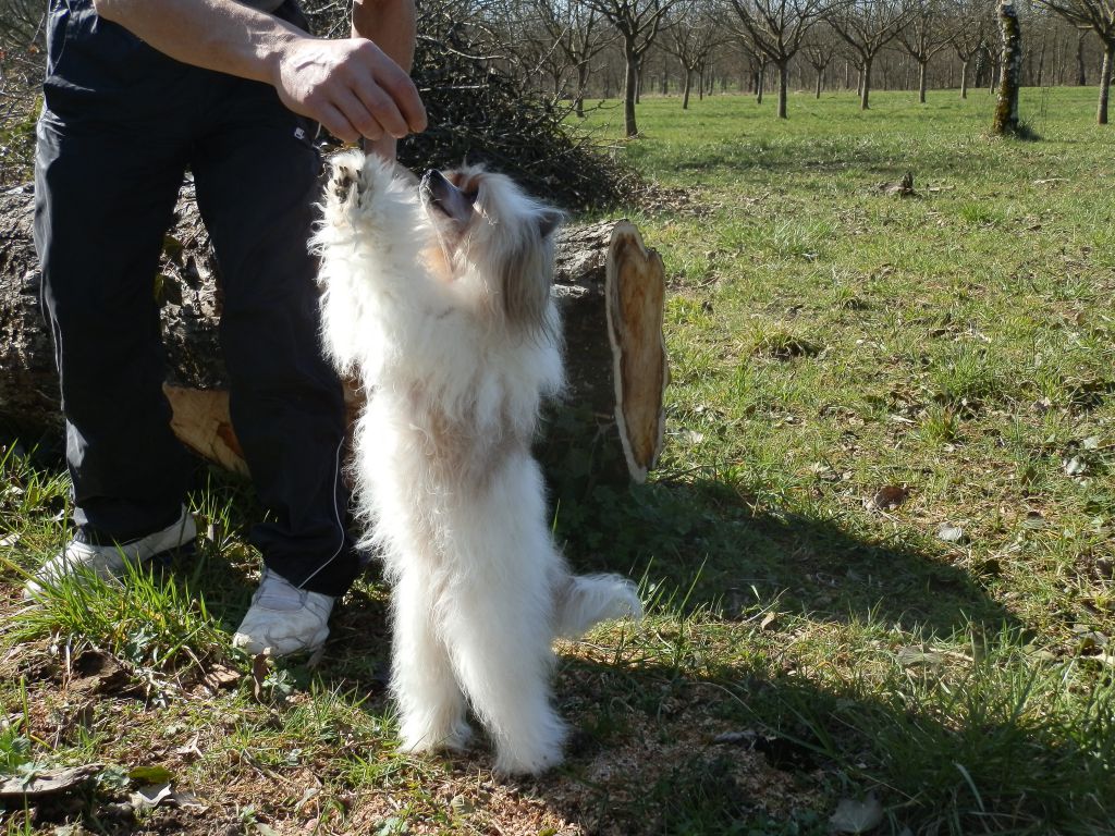H'Kiona du Coeur des Ténèbres