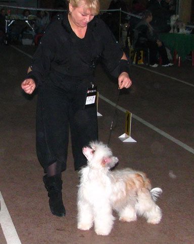 Sun One Say Cherisht Dream