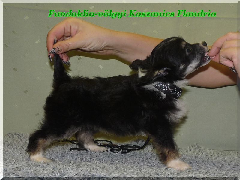 Picture
