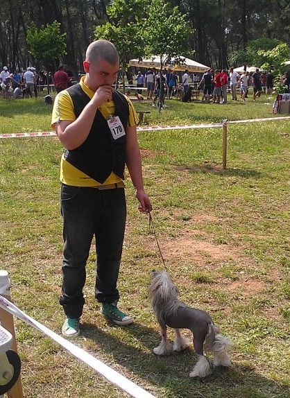Picture