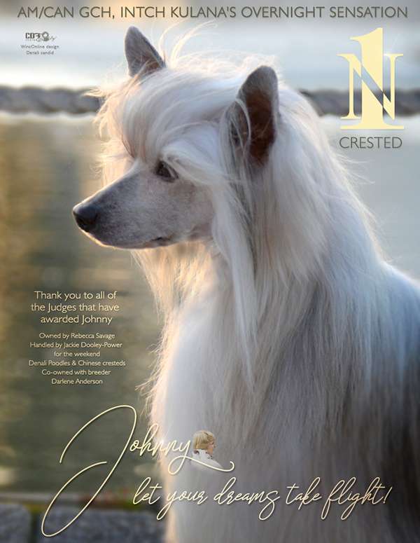 Kulana's Overnight Sensation